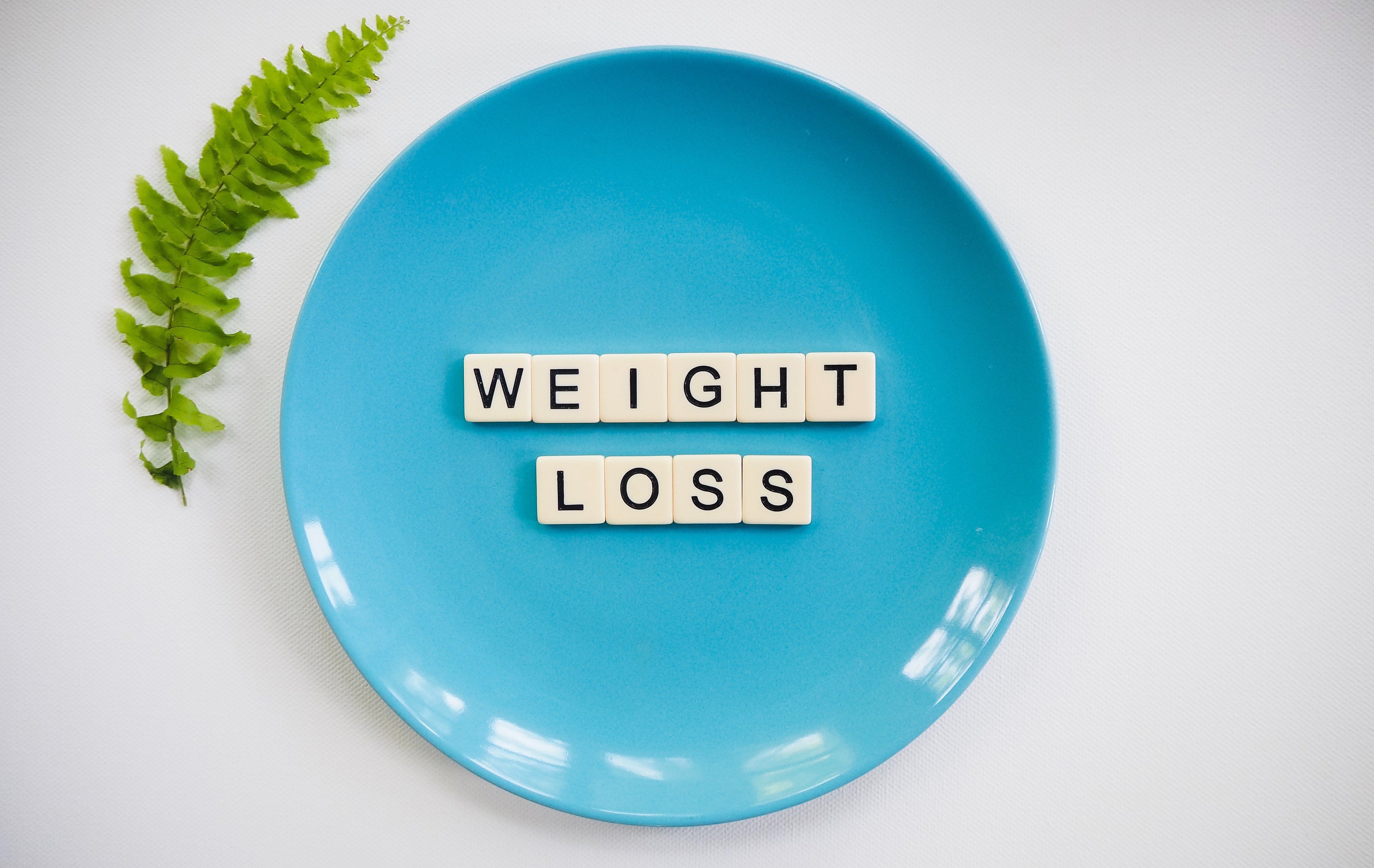 Causes of Obesity