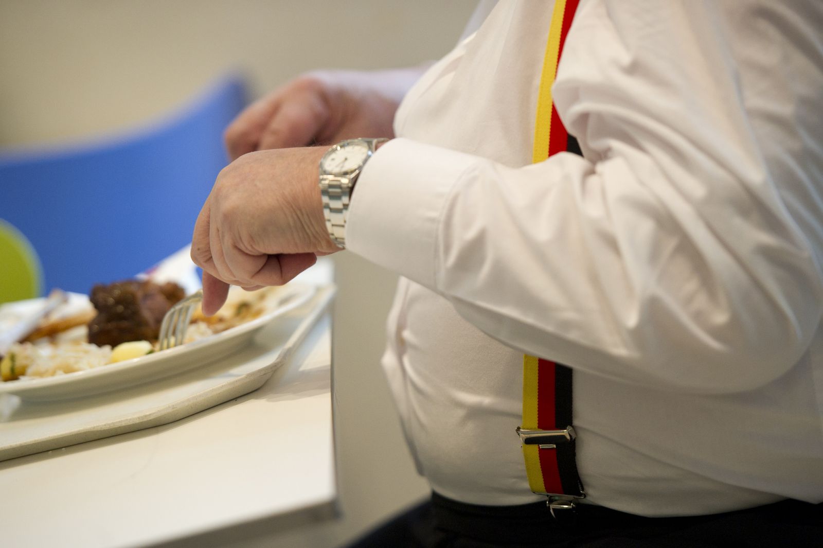 Obesity in Germany