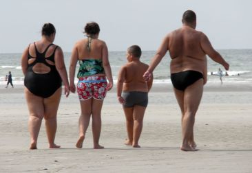 Obesity in France