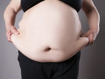 Obesity in The Netherlands